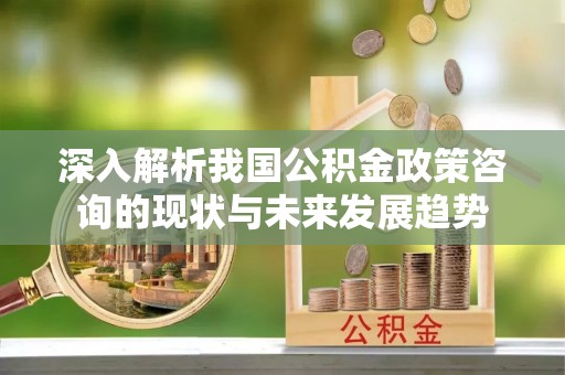 金坛深入解析我国公积金政策咨询的现状与未来发展趋势