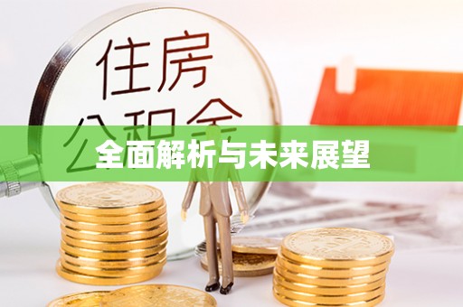金坛全面解析与未来展望