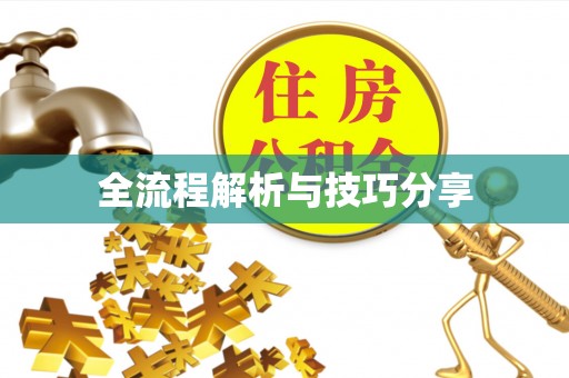 金坛全流程解析与技巧分享